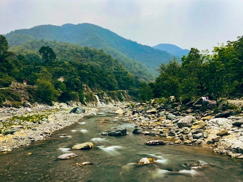 Nature